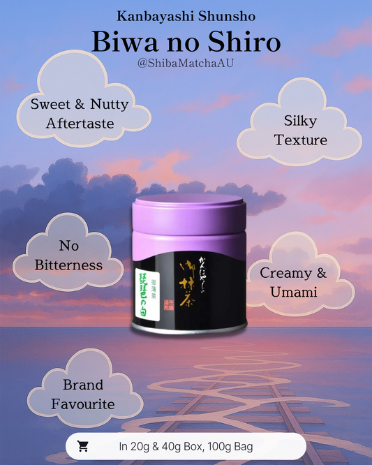 Biwa no Shiro | Kanbayashi Shunsho - Ceremonial Grade Matcha
