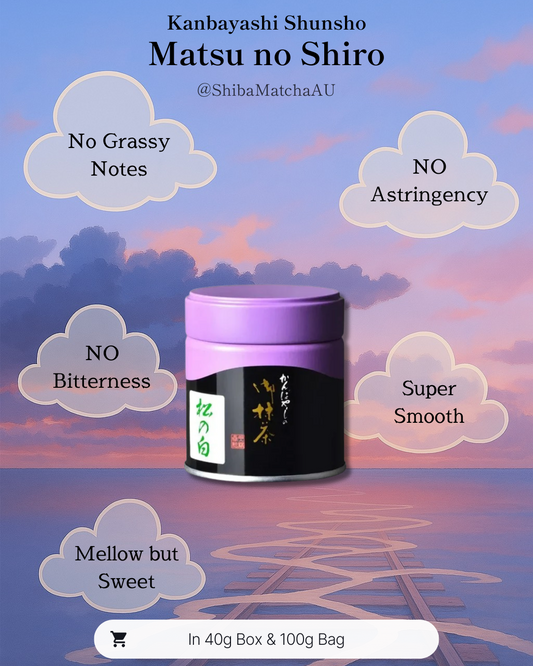 Matsu no Shiro | Kanbayashi Shunso - Ceremonial Grade Matcha