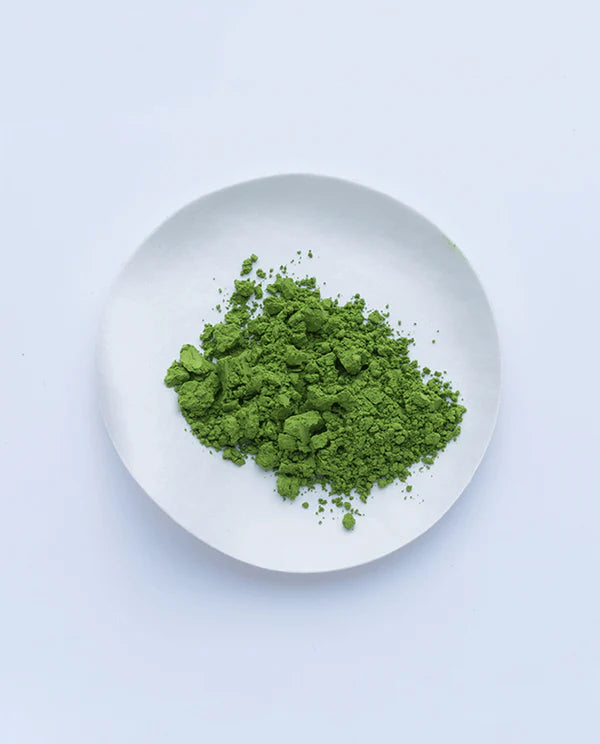 Wakaki-shiro 40g Box | Ippodo Tea - Ceremonial Grade Matcha